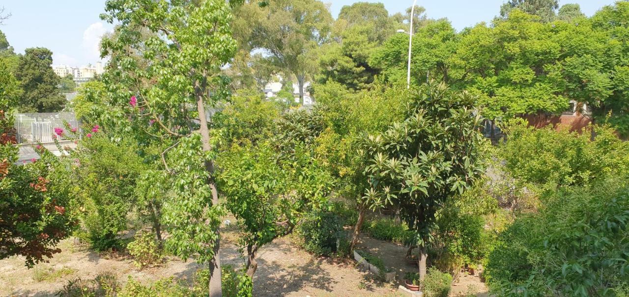 Guesthouse Luisella Cagliari Kültér fotó